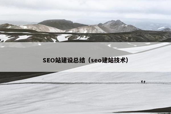 SEO站建设总结（seo建站技术）