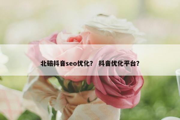 北碚抖音seo优化？ 抖音优化平台？