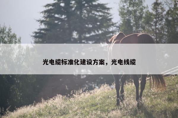 光电缆标准化建设方案，光电线缆