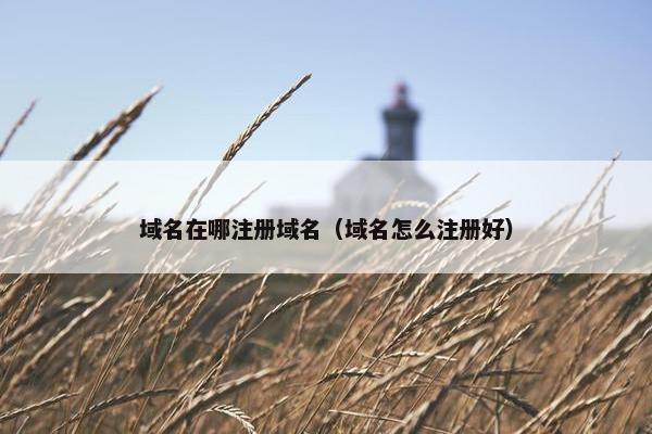 域名在哪注册域名（域名怎么注册好）