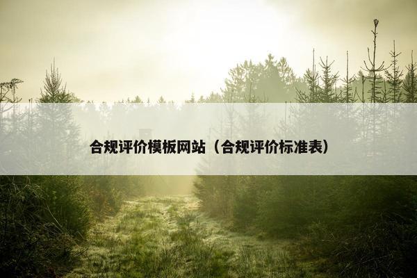 合规评价模板网站（合规评价标准表）
