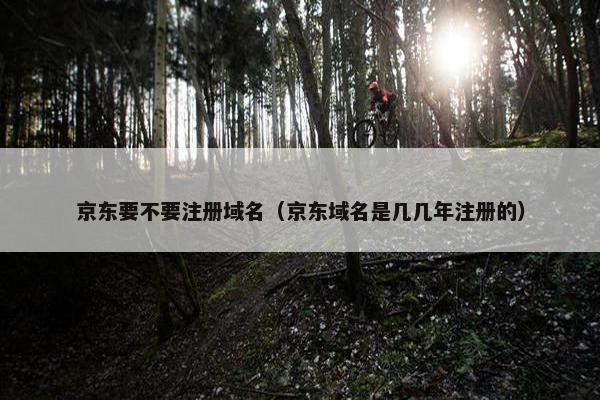 京东要不要注册域名（京东域名是几几年注册的）