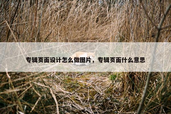 专辑页面设计怎么做图片，专辑页面什么意思