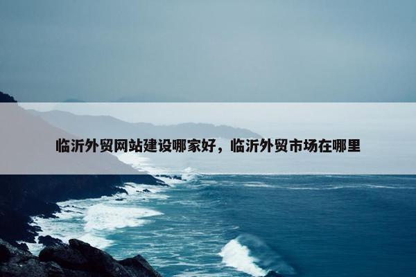 临沂外贸网站建设哪家好，临沂外贸市场在哪里