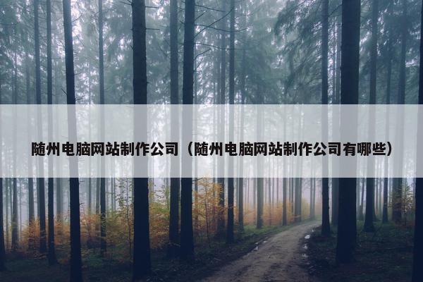 随州电脑网站制作公司（随州电脑网站制作公司有哪些）