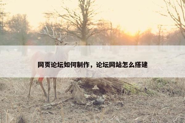 网页论坛如何制作，论坛网站怎么搭建