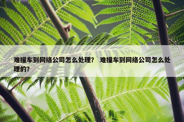 难撞车到网络公司怎么处理？ 难撞车到网络公司怎么处理的？