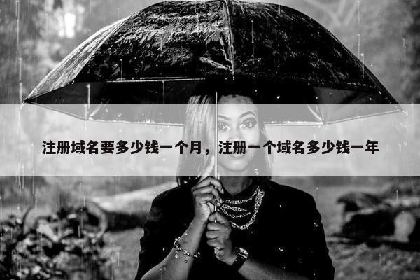 注册域名要多少钱一个月，注册一个域名多少钱一年