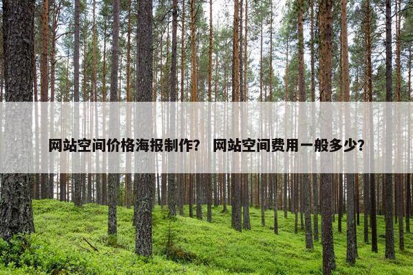 网站空间价格海报制作？ 网站空间费用一般多少？