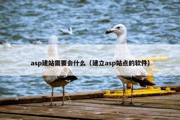 asp建站需要会什么（建立asp站点的软件）