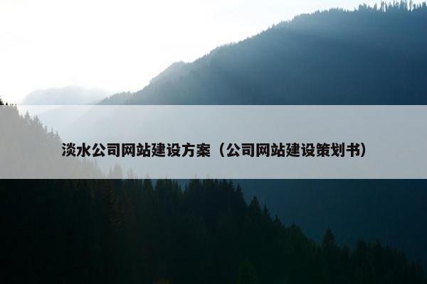 淡水公司网站建设方案（公司网站建设策划书）