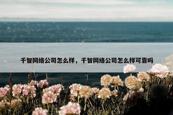 千智网络公司怎么样，千智网络公司怎么样可靠吗