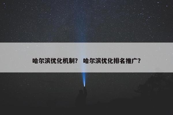 哈尔滨优化机制？ 哈尔滨优化排名推广？