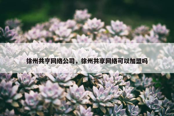 徐州共亨网络公司，徐州共享网络可以加盟吗
