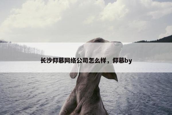 长沙仰慕网络公司怎么样，仰慕by