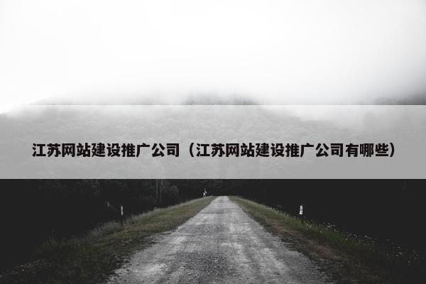 江苏网站建设推广公司（江苏网站建设推广公司有哪些）