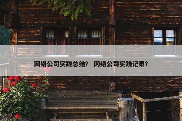 网络公司实践总结？ 网络公司实践记录？