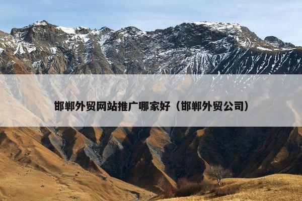 邯郸外贸网站推广哪家好（邯郸外贸公司）