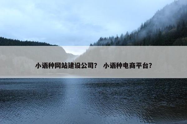 小语种网站建设公司？ 小语种电商平台？