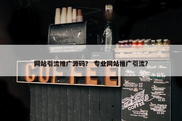 网站引流推广源码？ 专业网站推广引流？