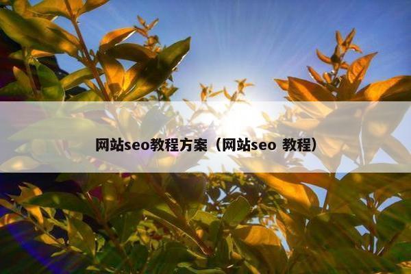 网站seo教程方案（网站seo 教程）