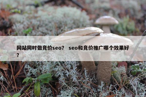 网站同时做竞价seo？ seo和竞价推广哪个效果好？