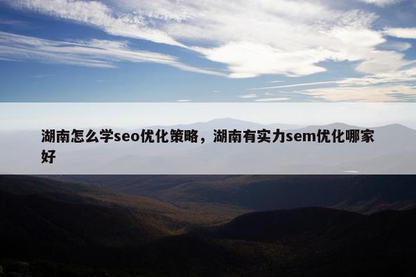 湖南怎么学seo优化策略，湖南有实力sem优化哪家好