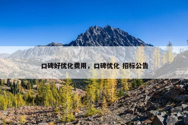 口碑好优化费用，口碑优化 招标公告