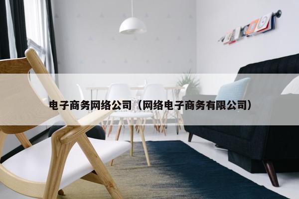 电子商务网络公司（网络电子商务有限公司）