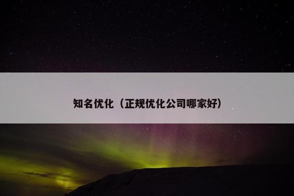 知名优化（正规优化公司哪家好）