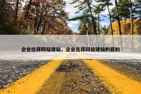 企业选择网站建站，企业选择网站建站的目的