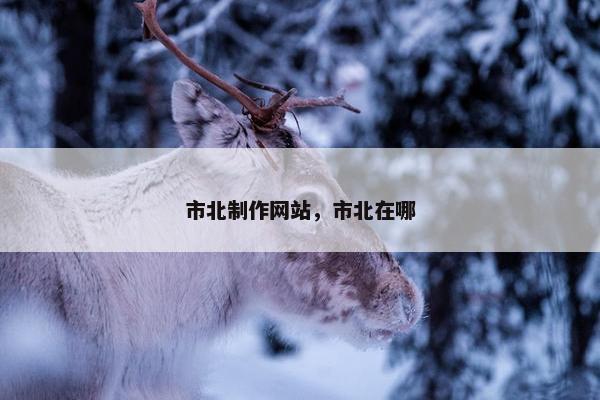 市北制作网站，市北在哪