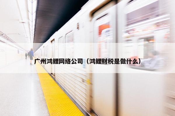广州鸿鲤网络公司（鸿鲤财税是做什么）
