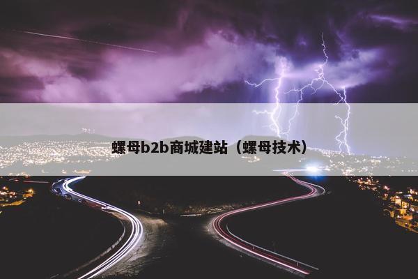 螺母b2b商城建站（螺母技术）
