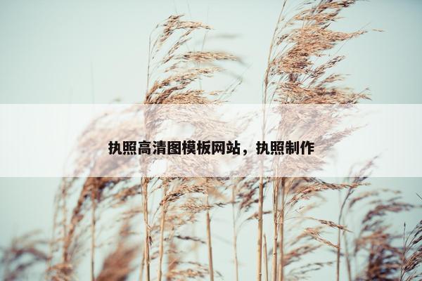 执照高清图模板网站，执照制作