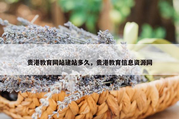 贵港教育网站建站多久，贵港教育信息资源网