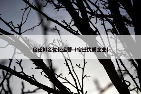 宿迁排名优化运营（宿迁优质企业）