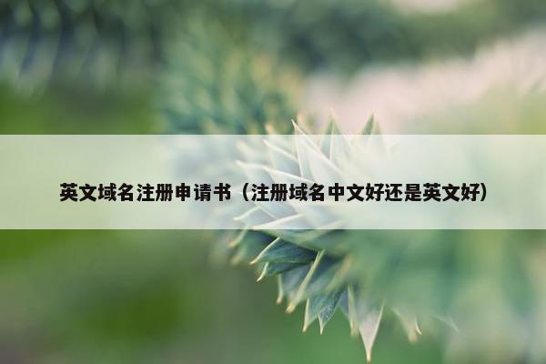 英文域名注册申请书（注册域名中文好还是英文好）