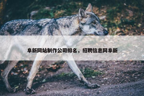 阜新网站制作公司排名，招聘信息网阜新