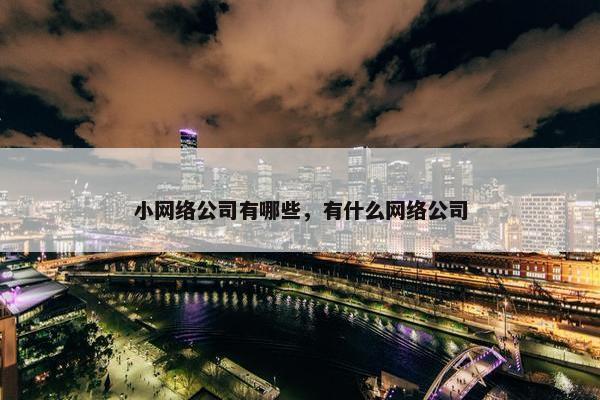 小网络公司有哪些，有什么网络公司
