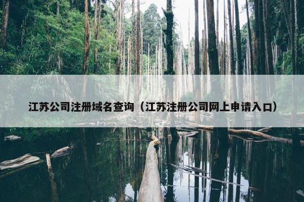 江苏公司注册域名查询（江苏注册公司网上申请入口）