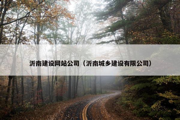 沂南建设网站公司（沂南城乡建设有限公司）