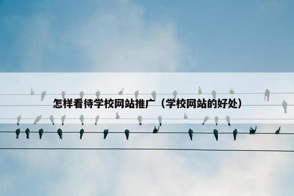 怎样看待学校网站推广（学校网站的好处）