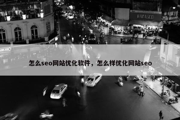 怎么seo网站优化软件，怎么样优化网站seo