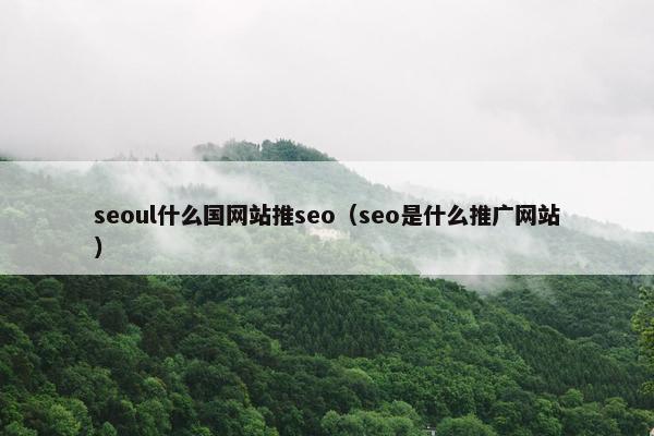 seoul什么国网站推seo（seo是什么推广网站）