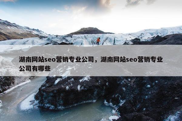 湖南网站seo营销专业公司，湖南网站seo营销专业公司有哪些