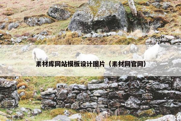 素材库网站模板设计图片（素材网官网）