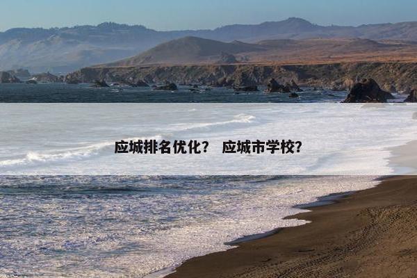 应城排名优化？ 应城市学校？