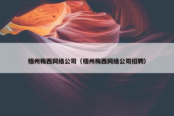 梧州梅西网络公司（梧州梅西网络公司招聘）