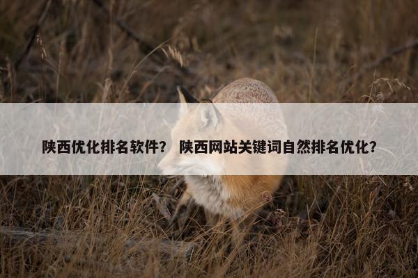 陕西优化排名软件？ 陕西网站关键词自然排名优化？
